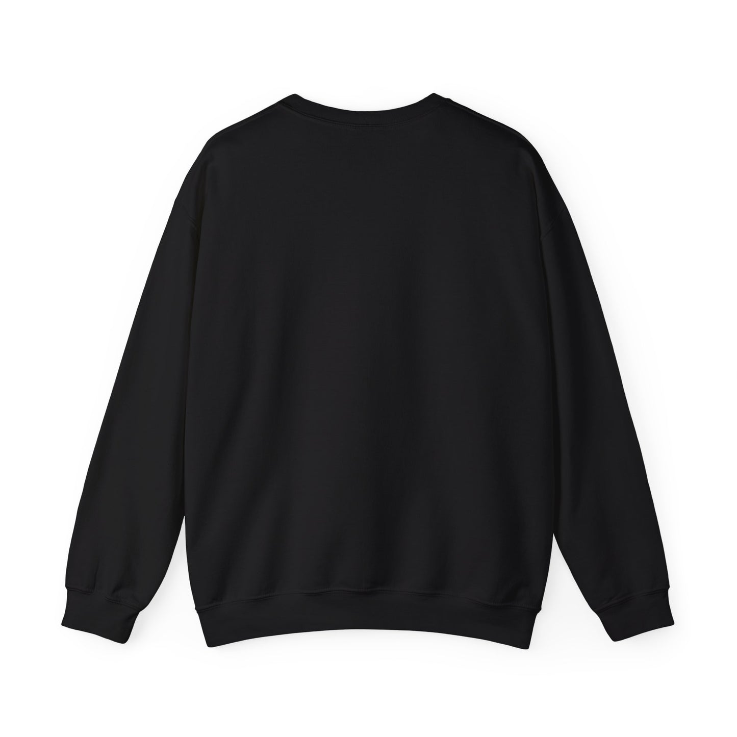 BVDDY Operation Schizo Crewneck